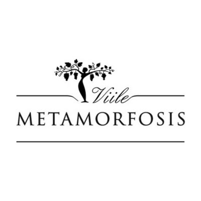 Weingut Vitis Metamorfosis - Dealu Mare - Rumänien
