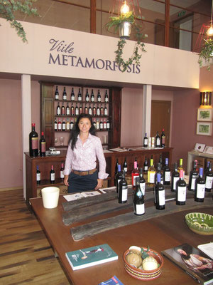 Weingut: Vitis Metamorfosis, Rumänien