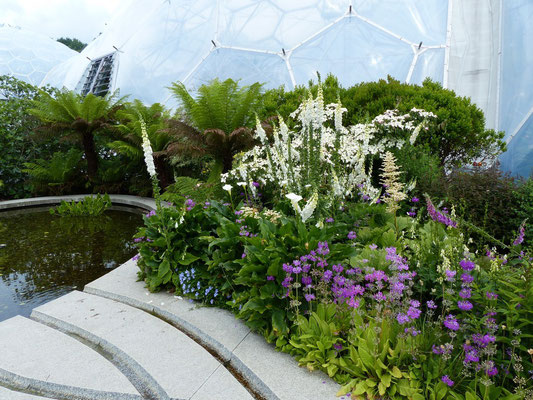 Outdoor Gardens