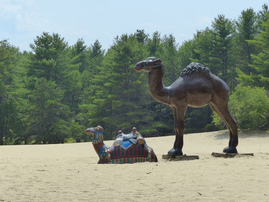 Desert of Maine in Freeport