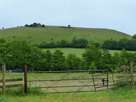 Cerne Giant in Cerne Abbas