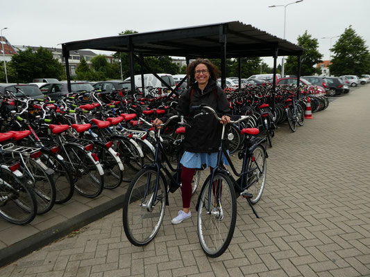 Mit dem Fahrrad durch Leiden