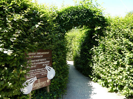 Irrgarten