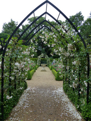 Rose Garden