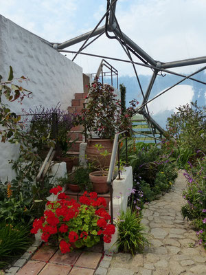 Mediterranean Biome