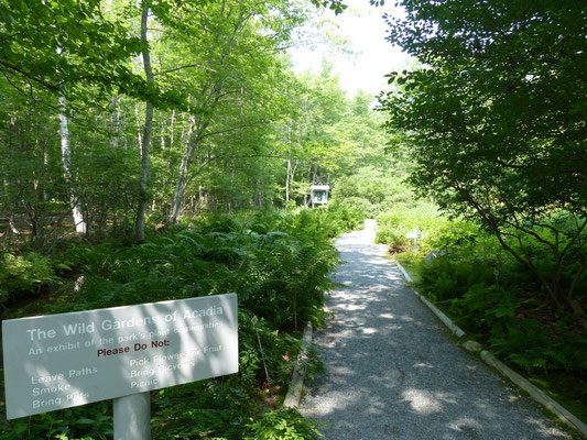 The Wild Gardens of Acadia