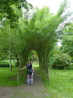 Spaziergang zum Leeds Castle