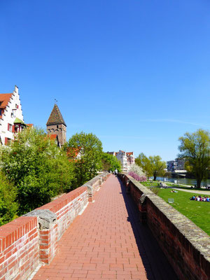 Park an der Donau