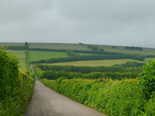 On the Road
