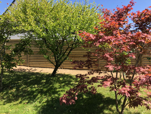 Persiennes bois
