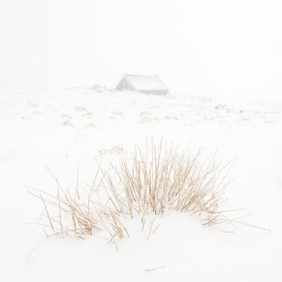 Aubrac