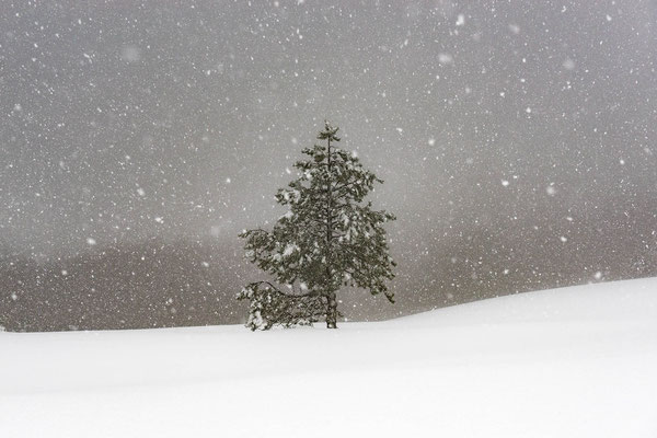 Une solitude mortelle
