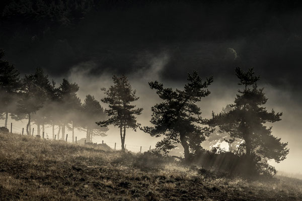 La ténèbre de la nuit