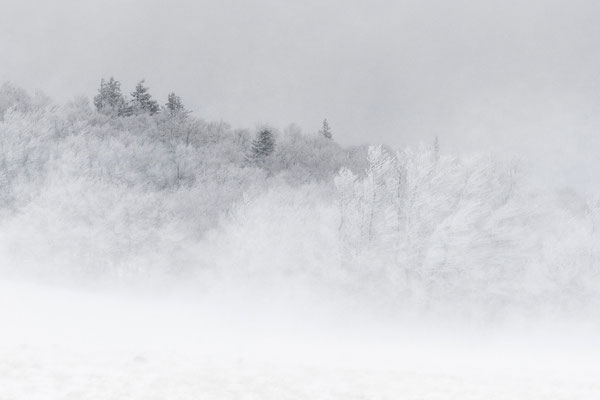 Pays de neige