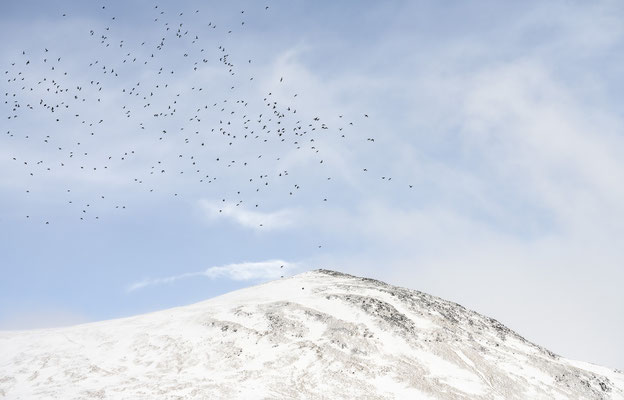 Cairngorms mountains