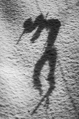 Silhouette 8