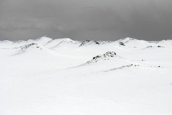 Les cimes blanches
