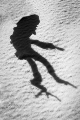Silhouette 13