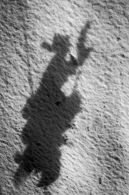 Silhouette 5