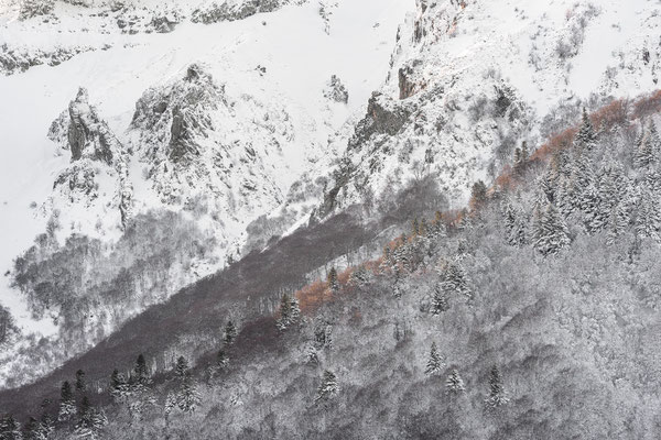 Sancy