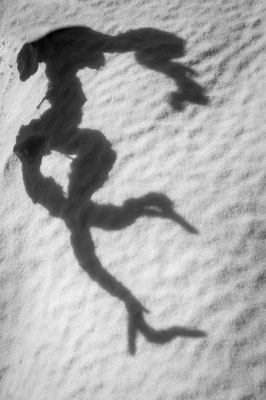 Silhouette 17