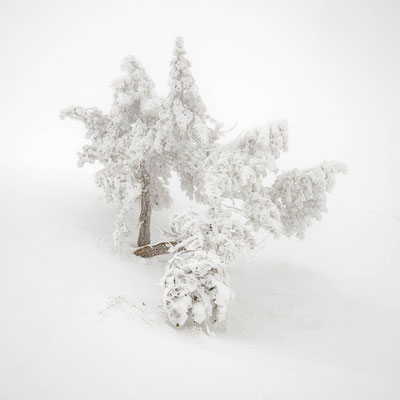 Les pics ceints de neiges