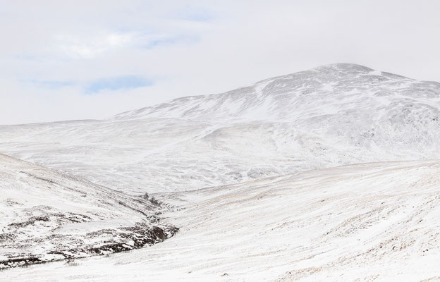 Glencoe