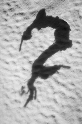 Silhouette 18