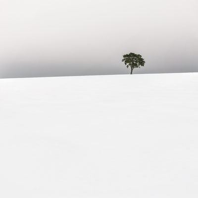 Le premier homme sur la terre