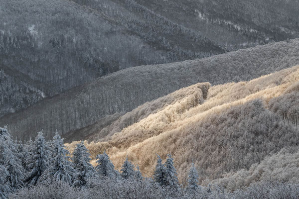Mont Aigoual