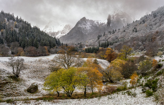 De neige et de fruits mûrs