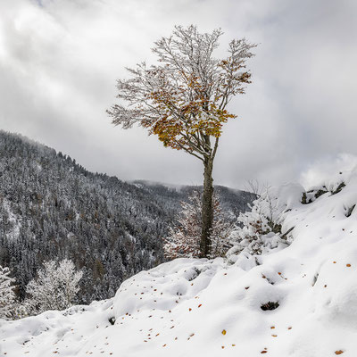 Un paysage d’arrière-saison
