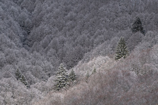 Ardèche