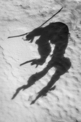 Silhouette 14
