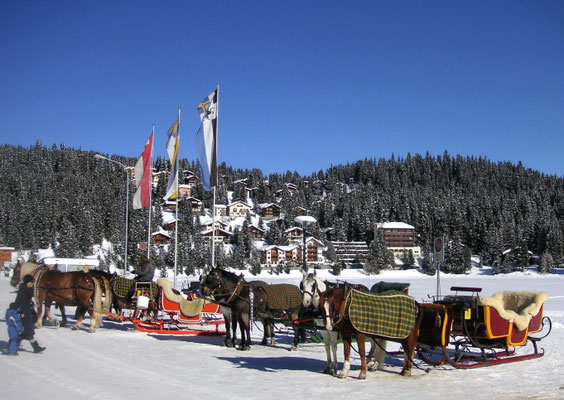 Skiurlaub Graubünden - Arosa bester Skiort Graubünden für Ferien polysportiv