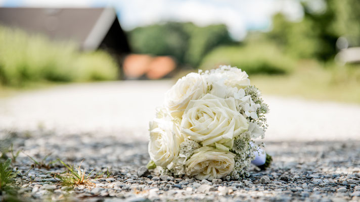 Hochzeitsfotografin Starnberger See Roseninsel Hochzeit Hochzeitsfotos Ammersee Starnberg Feldafing
