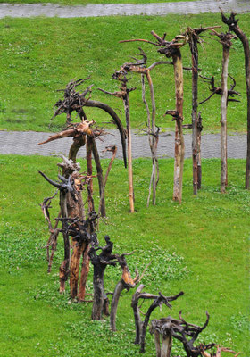 Grindelwald 2009 - Entwurzelt - Ulla & Rolf Klaeger