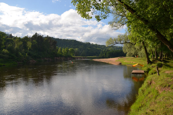 Der Fluss Gauja