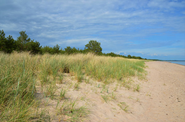 Am Strand unterhalb von Kuressaare