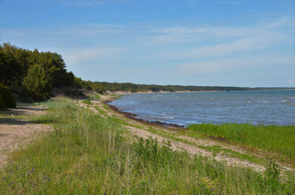 Am Strand bei Tehumardi