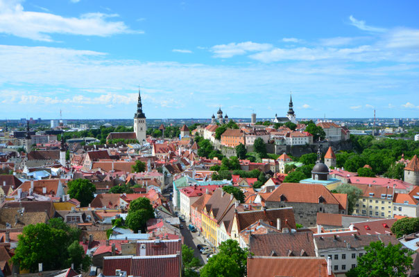 Blick über die Altstadt auf den Domberg
