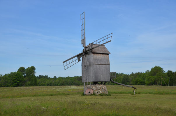 Eine von unzähligen Windmühlen