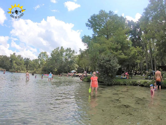 Schwimmen im Badebereich des Alexander Springs.