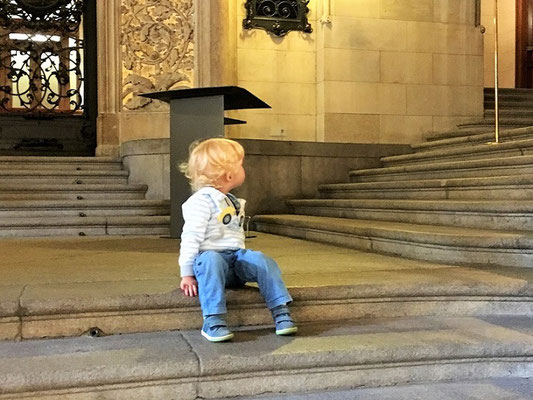 Samu schaut sich im Rathaus um