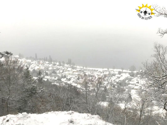 Ausblick über den Bodensee bis nach Konstanz und Kreuzlingen