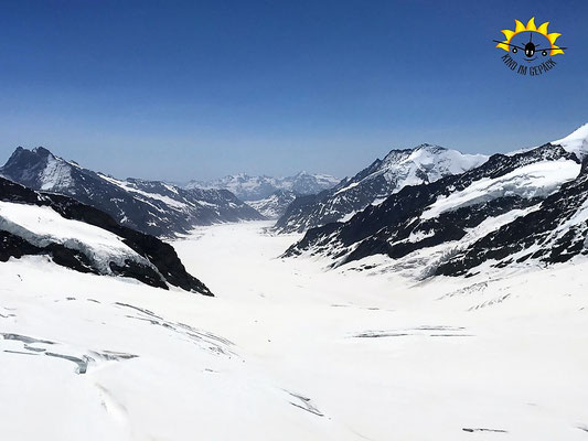 Blick vom Jungfraujoch auf den Aletschgletscher.