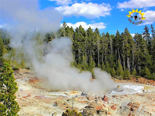 Der Steamboat Geysir im Yellowstone Nationalpark.