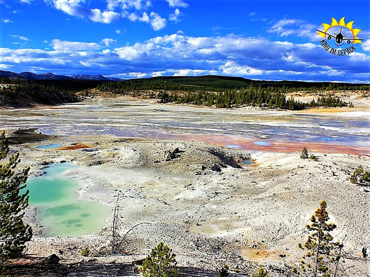 Faszinierend das Norris Geyser Basin.