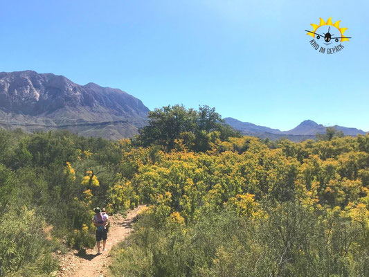 Wanderweg im Big Bend.