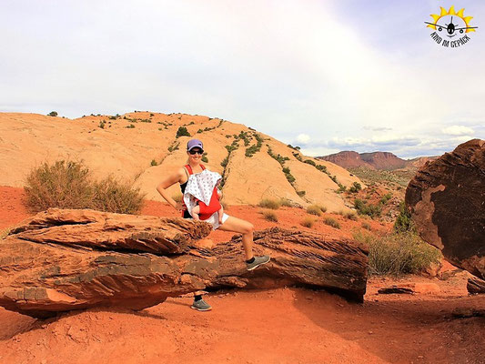 Zu hei im Arches Nationalpark. Die Wanderung muss verschoben werden.